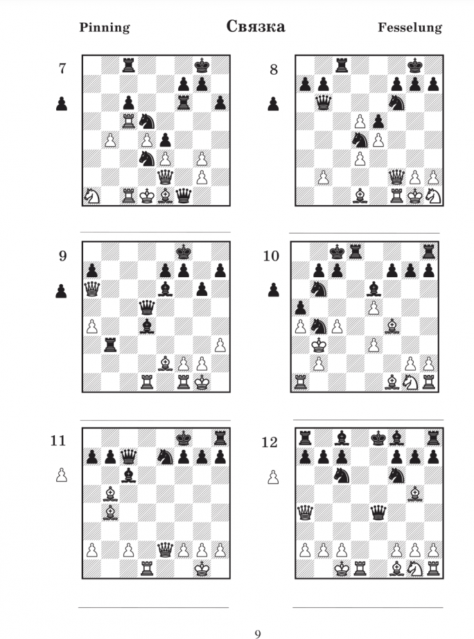 Книга Chess school 1b (Иващенко Сергей Дмитриевич) - фото №4