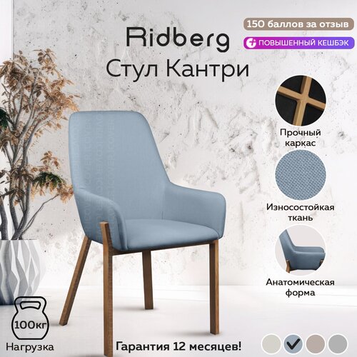 Стул для кухни и гостиной RIDBERG Кантри, голубой / для офиса и дома / Стул кухонный со спинкой на металлических ножках