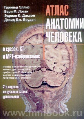 Атлас анатомии человека в срезах, КТ- и МРТ-изображениях - фото №4