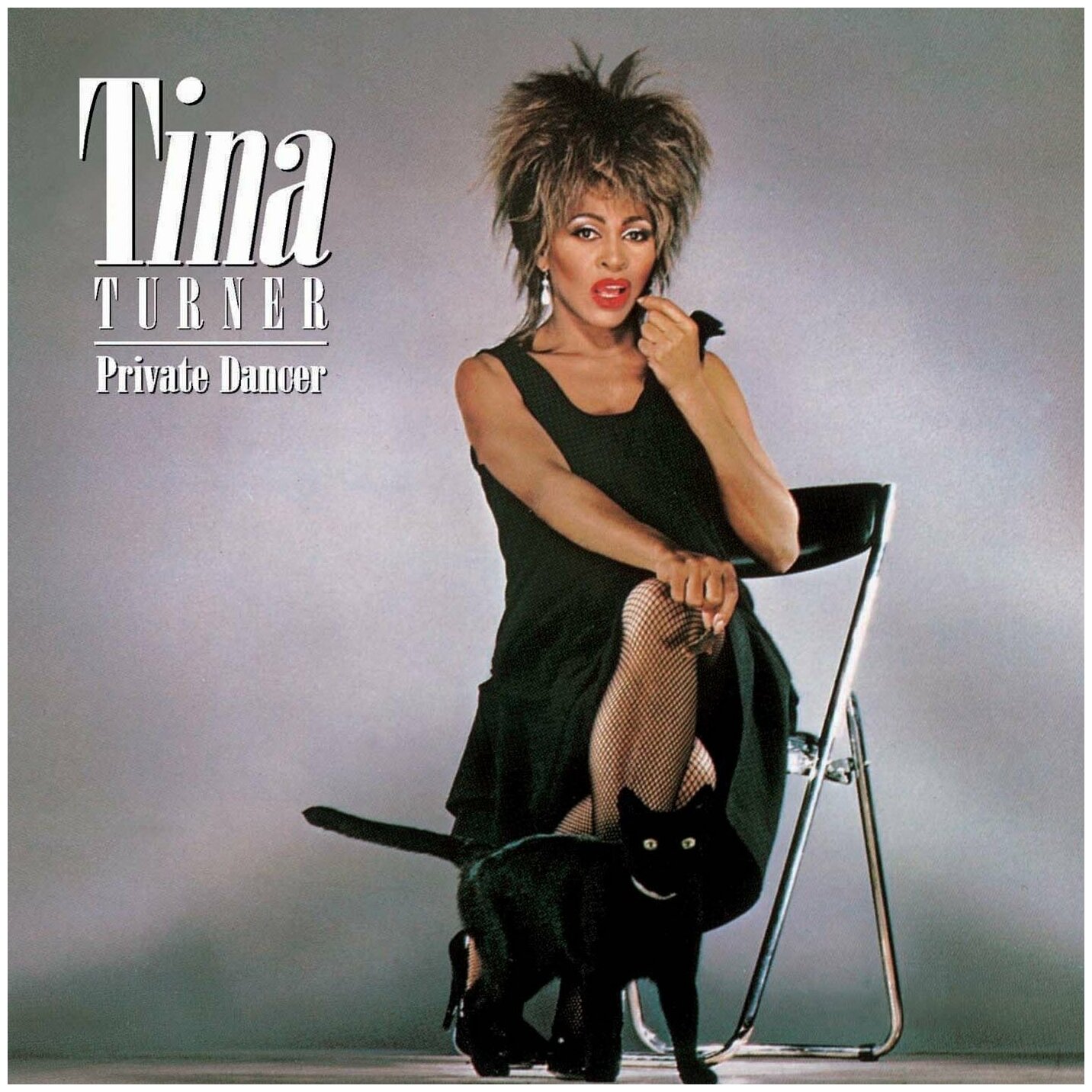 Виниловая пластинка Tina Turner. Private Dancer. 30th Anniversary (LP)