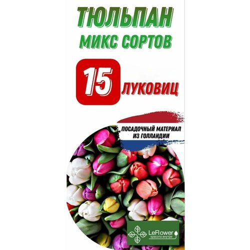 Тюльпан Луковица, Микс сортов, 15шт тюльпан strawberry queen луковица тюльпан