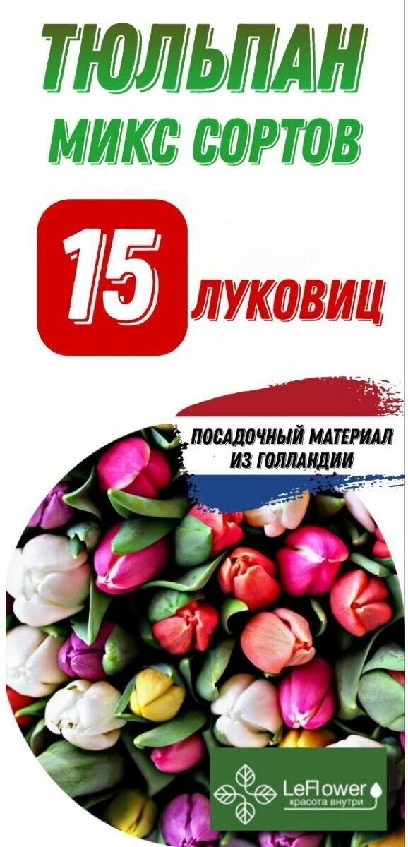 Тюльпан Луковица, Микс сортов, 15шт