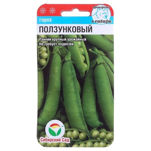 Семена Горох 