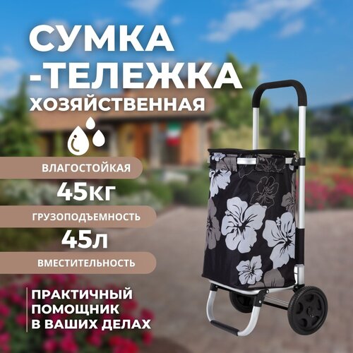 Сумка Koleso, 45 л, 44х98х35 см, ручная кладь, черный