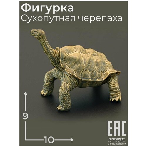 Игрушка Сухопутная Черепаха фигурка Животные / Рептилии пулатов т черепаха тарази