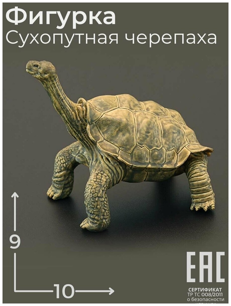 Игрушка Сухопутная Черепаха фигурка Животные / Рептилии
