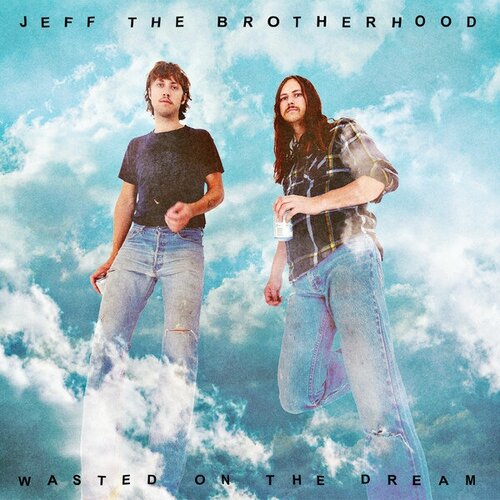 Виниловая пластинка Jeff the Brotherhood WASTED ON THE DREAM freestone mark making a psychopath my journey into 7 dangerous minds