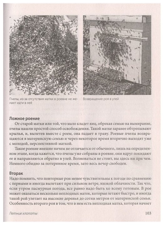 Пчеловодство для начинающих. Практическое пошаговое руководство по созданию пасеки с нуля - фото №18