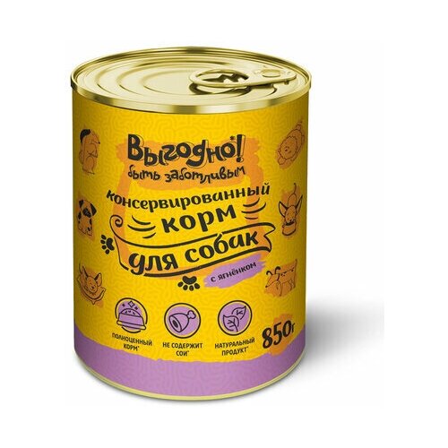 Выгодно кусочки в желе для собак, Ягненок, железная банка 850г, 12 упаковок