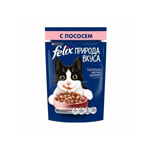 Felix Паучи Кусочки в соусе с лососем Природа вкуса 12512724 0,075 кг 60930 (1 шт)