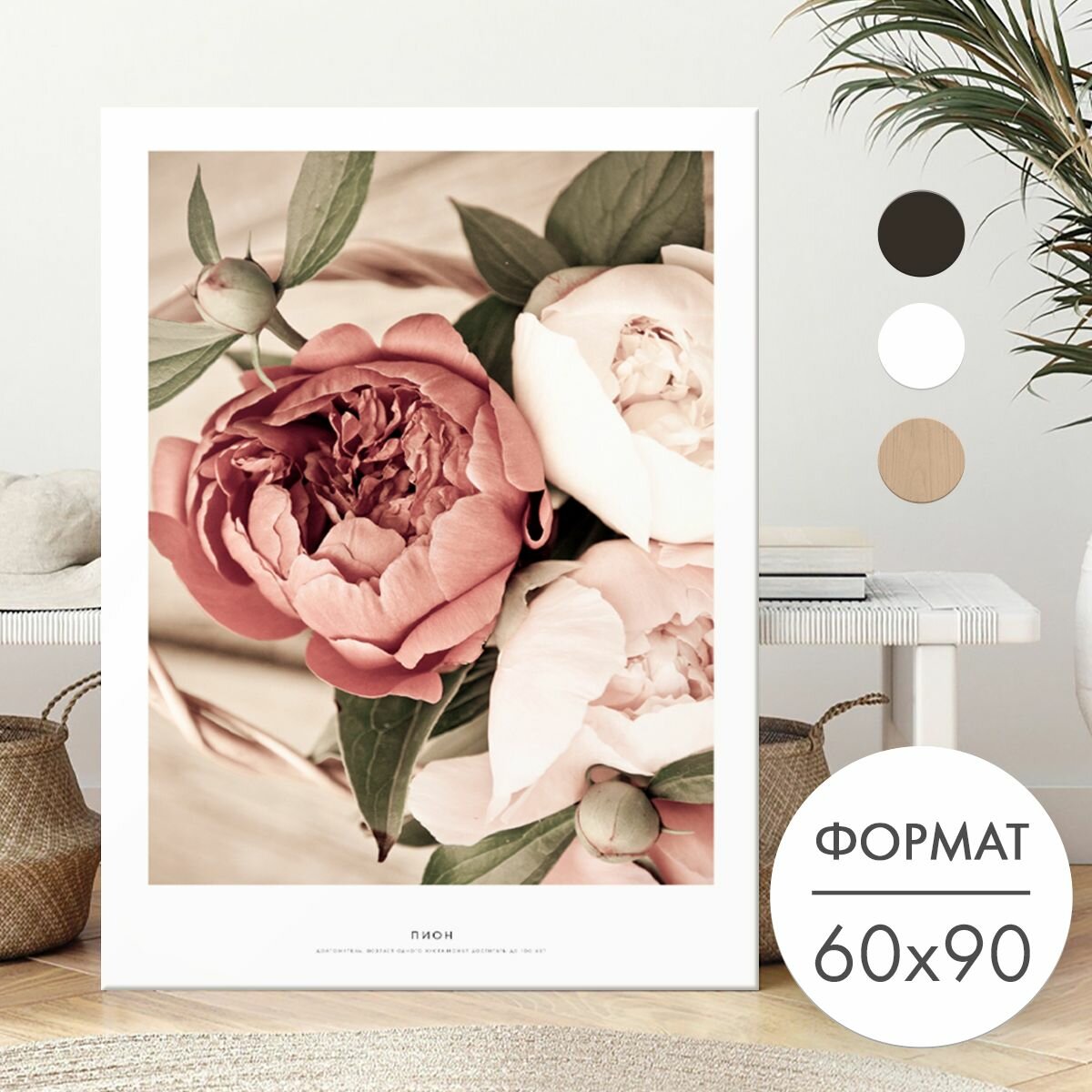 Постер 60х90 без рамки "Пионы" для интерьера