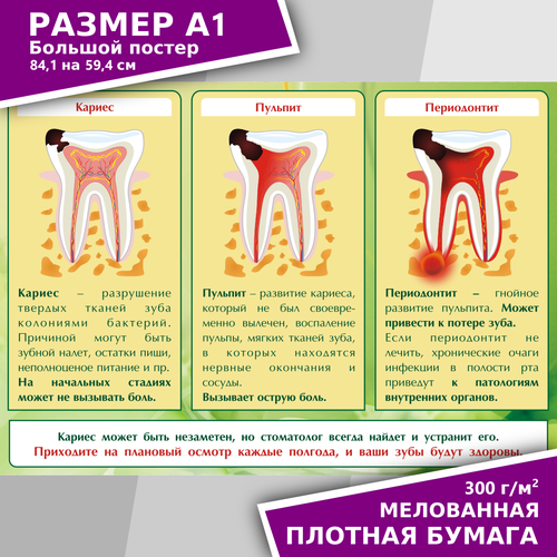 Плакат для стоматологии 