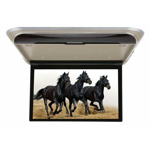 Автомобильный потолочный монитор 156 Ergo ER15M бежевый 23206₽