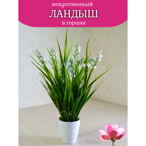 Ландыш в горшке от бренда Лотос 400₽
