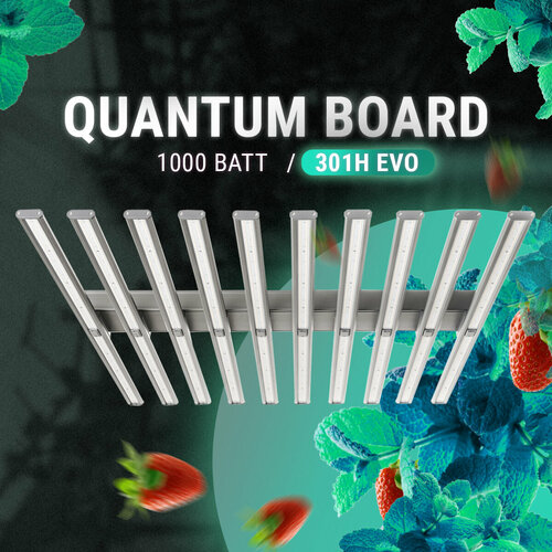 Quantum Board 1000W, 301 H EVO , Фито лампа для растений, Квантум борд 1000Вт. Полный спектр