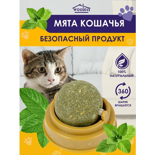 Кошачья мята, игрушка-лакомство для кошек и котов