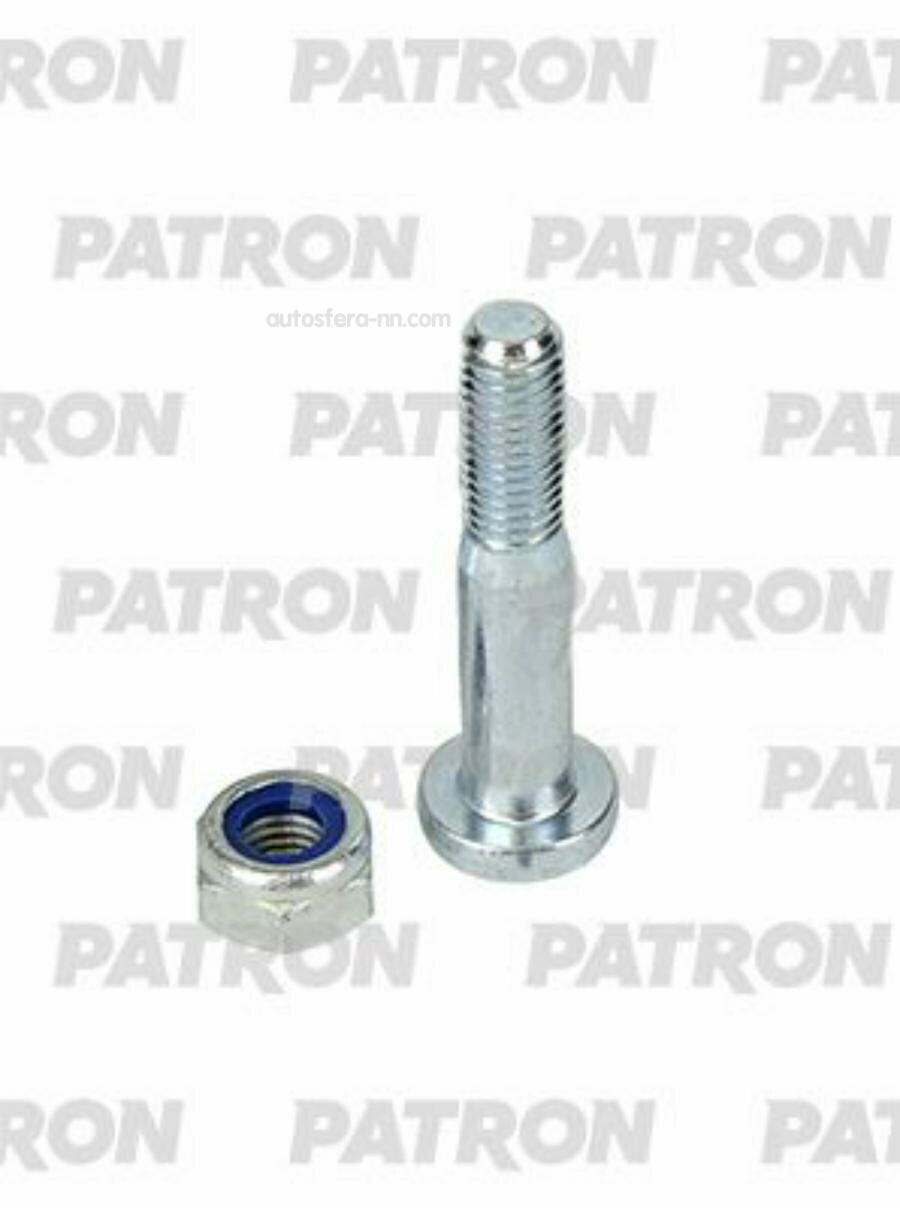 PATRON PBLT073 болт подвески поворотного кулака M10X1.5X65 FORD FOCUS 98-05