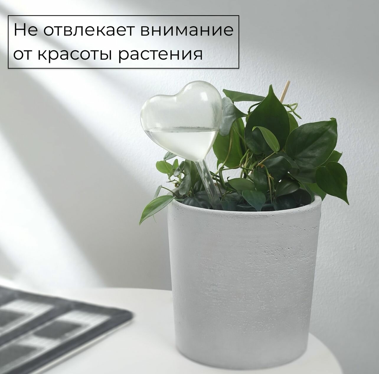 Автополив Для Домашних Растений Автополив для комнатных растений