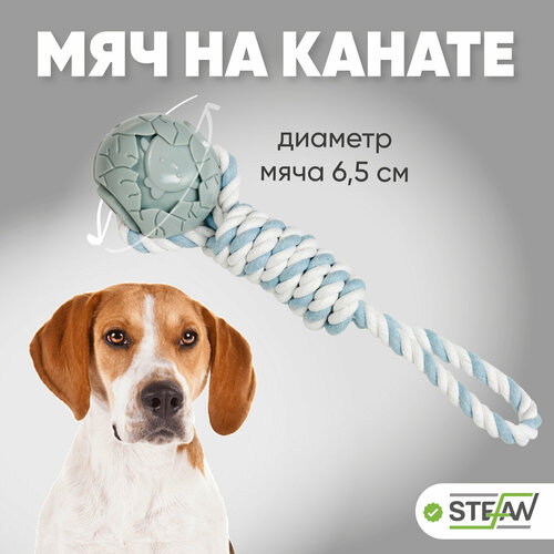 игрушка для собак мяч на канате человечек stefan штефан 6 5х32х34 голубой ty5195 Игрушка для собак мяч на канате Комета STEFAN (Штефан), 6,5х6,5х32, голубой, TY5225