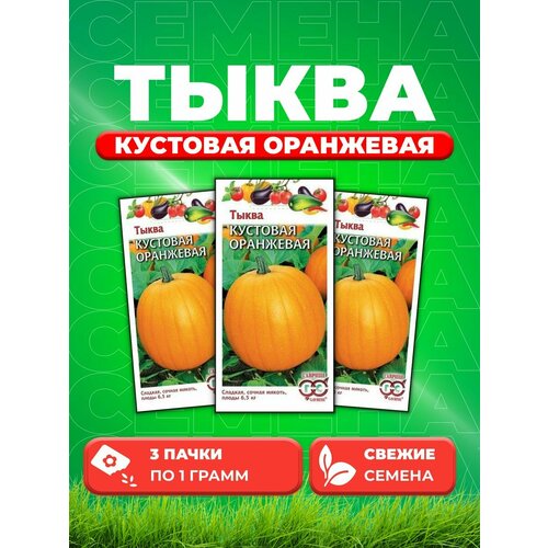 Тыква Кустовая оранжевая 1,0 г (3уп) семена тыква кустовая оранжевая 2 г