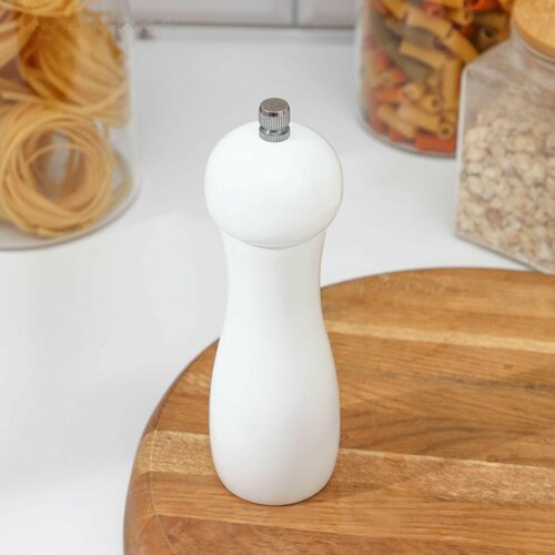 Мельница для специй 165 x 5 см 1046₽