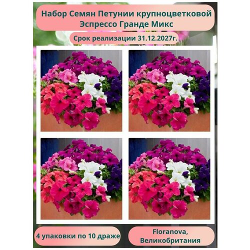 Петуния крупноцветковая Эспрессо Гранде Микс 4 упаковки по 10 драже Floranova Великобритания 480₽