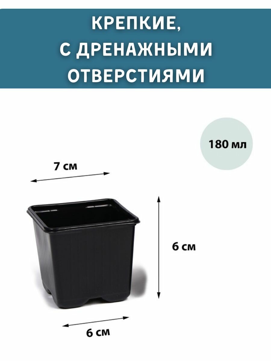 Горшки для рассады 10 штук — фото 1