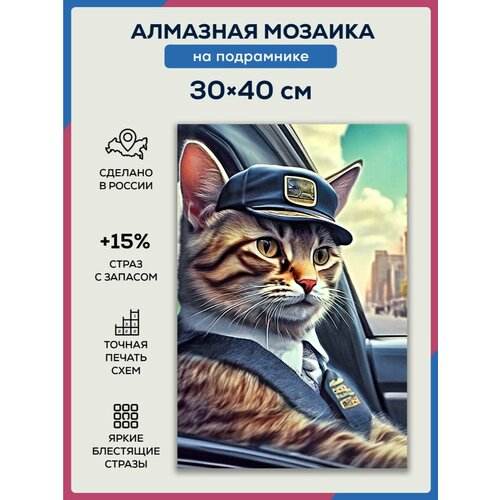 Алмазная мозаика 30x40 Кот за рулём на подрамнике