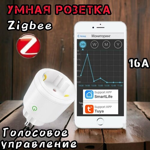 Умная розетка ZigBee с голосовым управлением 16А TuyaSmartLife 600₽