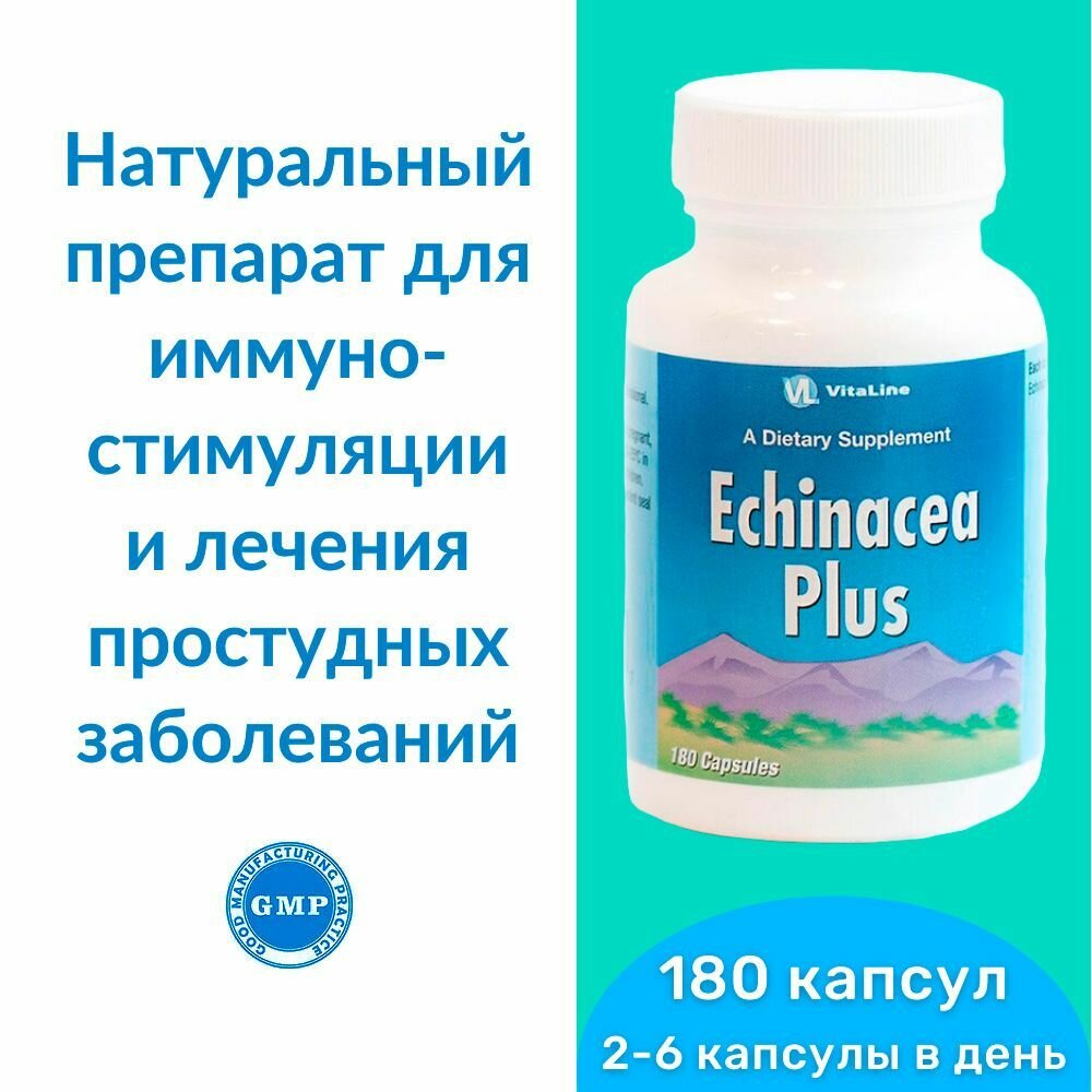 Эхинацея Плюс Виталайн  Echinacea Plus капсулы по 182 мг  натуральный препарат для иммуностимуляции и лечения простудных заболеваний