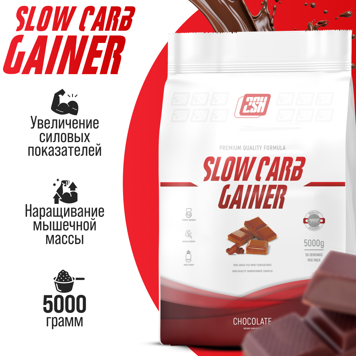 Гейнер для набора мышечной массы с разноцепочными углеводами 2SN Slow Carb Gainer 5000г (Шоколад)