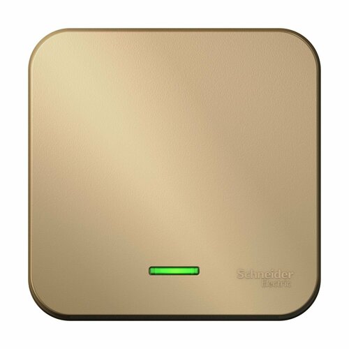 Выключатель Systeme Electric BLNVA101114 Blanca, 10 А золотистый, серый, титан