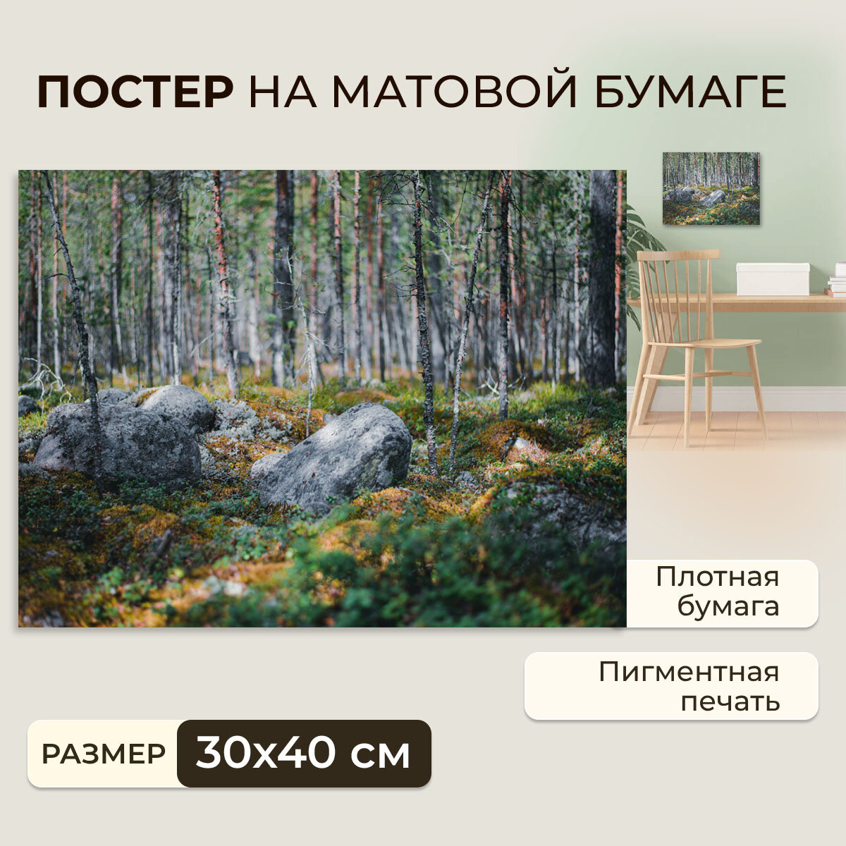 Постер  плакат на бумаге   Природа России   Лес   Размер 30 x 40 см