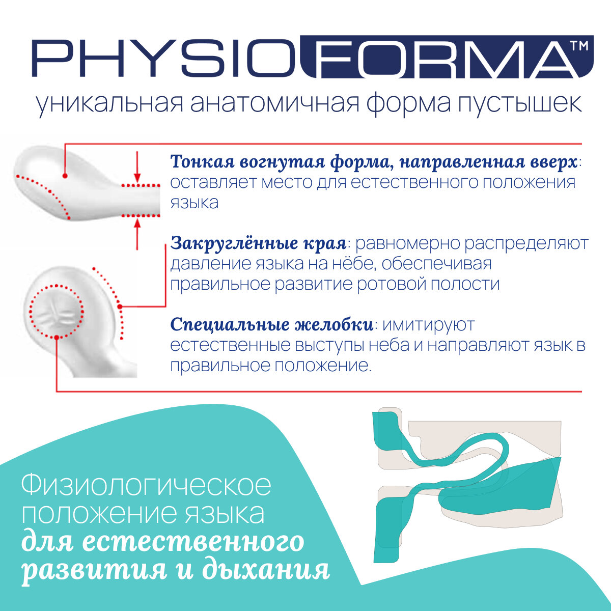 Картинки Соска пустышка для новорожденных 0-2 мес Chicco Утешение Physioforma Mini Soft 2 шт, голубой
