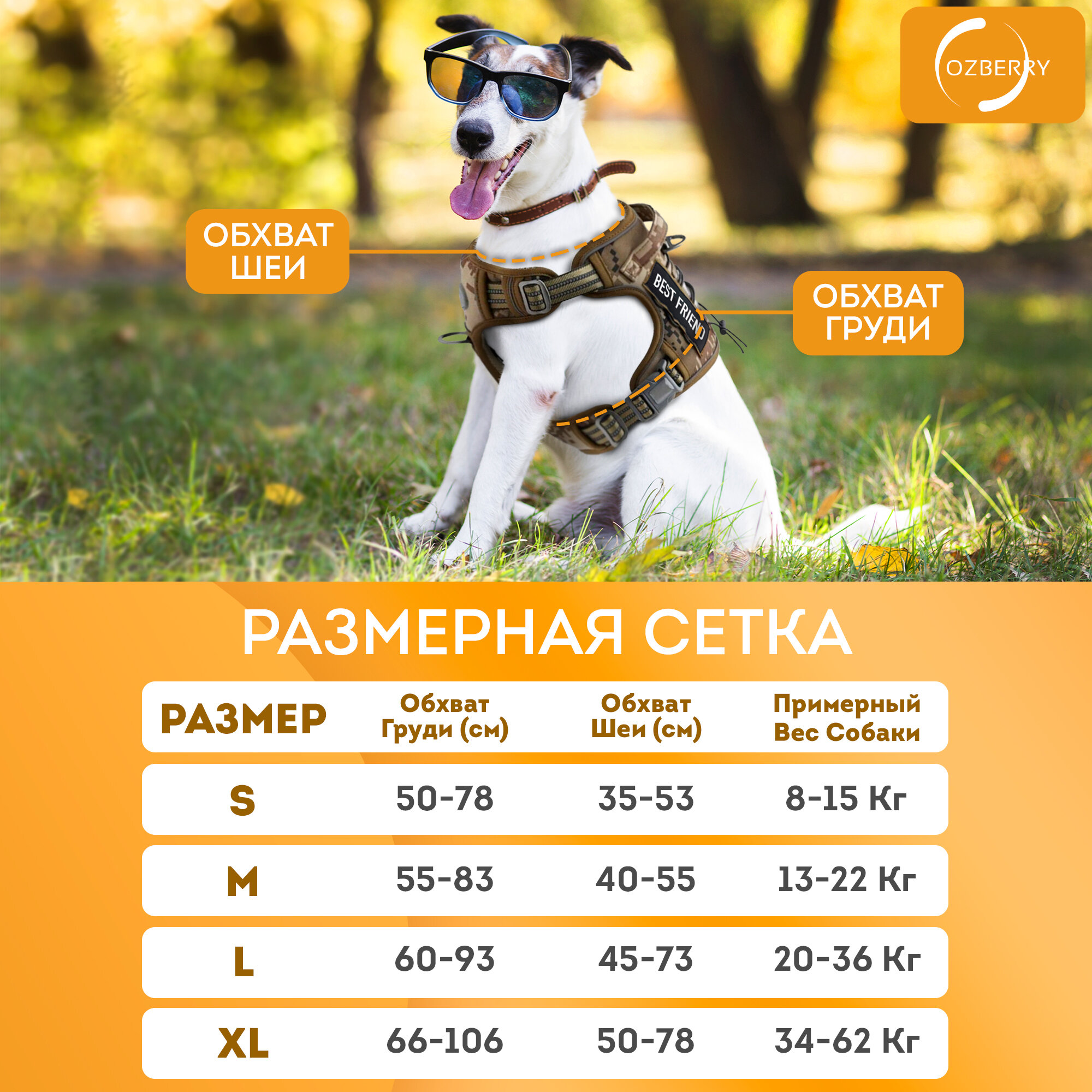 Шлейка OZBERRY Active Life, регулируемая, светоотражающие элементы, коричневая — фото 1
