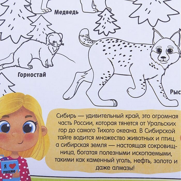 Раскраска "Россия", 20 стр, формат А4 — фото 1