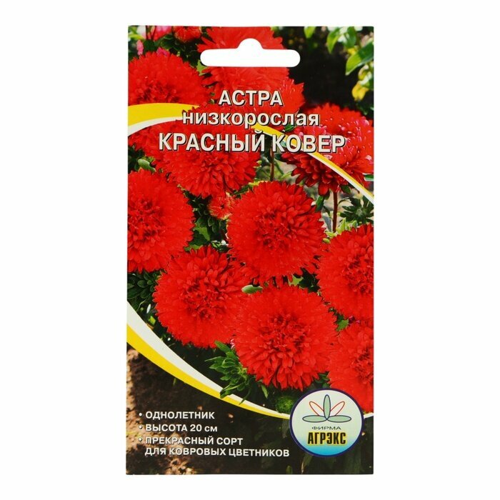 Семена Цветов Астра низкорослая Красный ковер  02 г