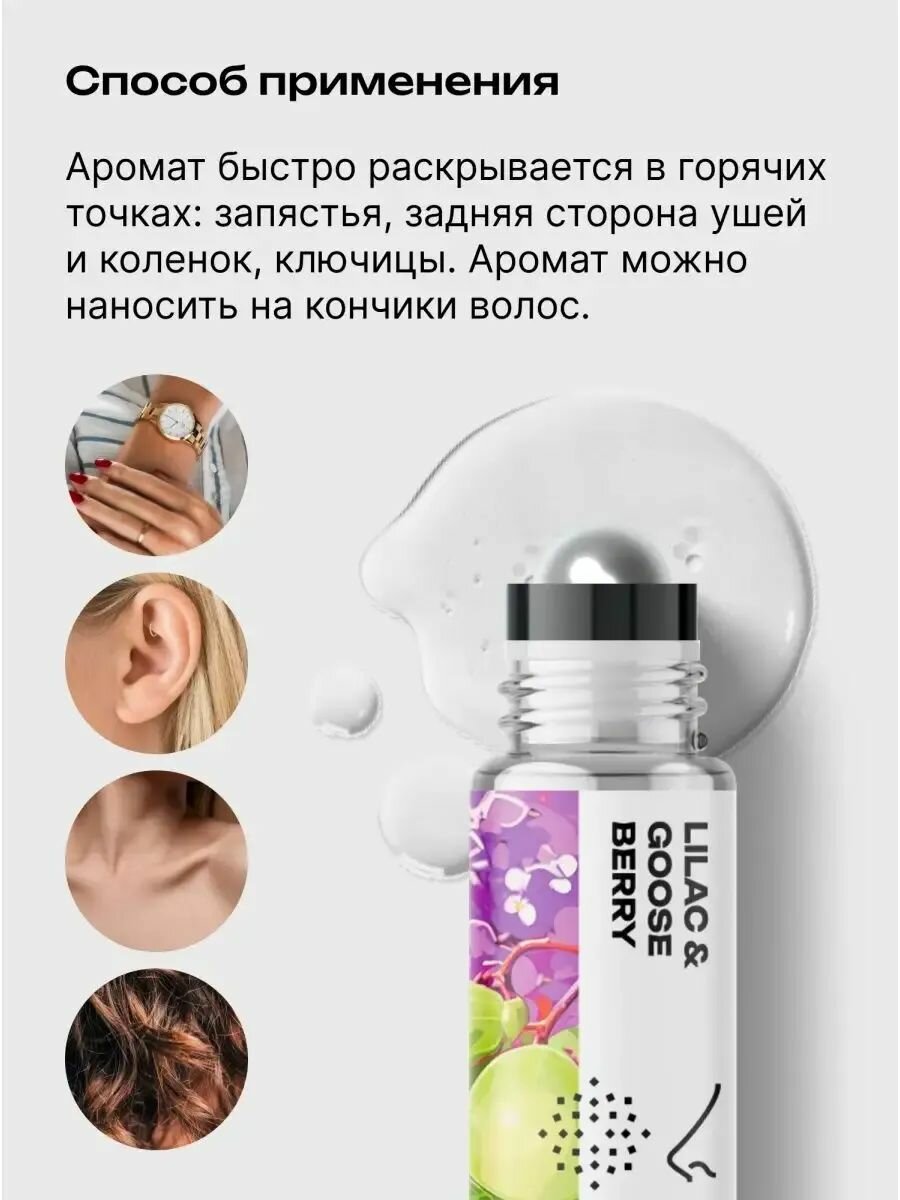 Библиотека ароматов Сирень и крыжовник Масляные духи 3 мл — фото 1