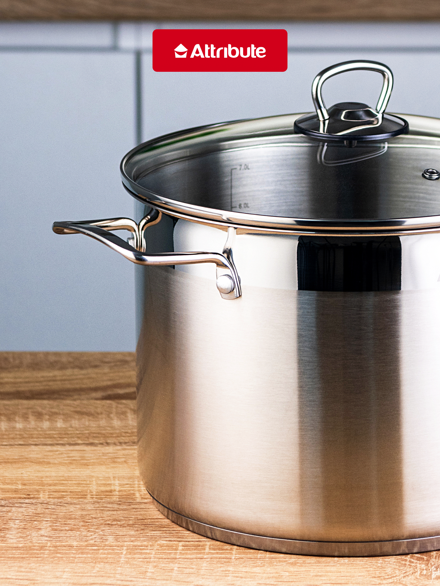 Кастрюля со стеклянной крышкой MASTER CHEF 8.0л 24х18см — фото 1