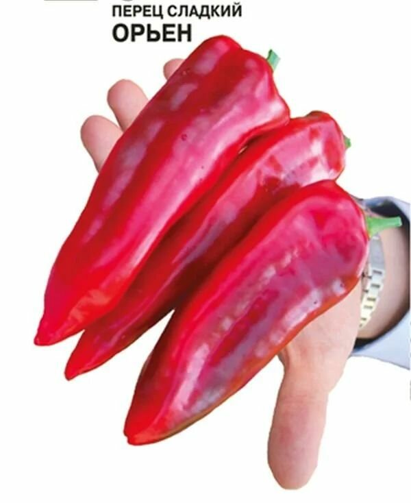 Коллекционные семена перца сладкого Орьен