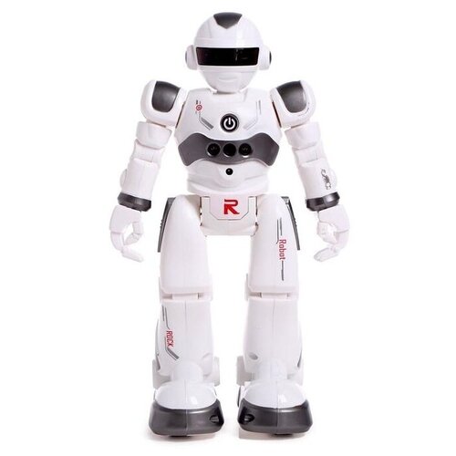 Робот-игрушка радиоуправляемый IQ BOT GRAVITONE, русское озвучивание, цвет серый IQ BOT 5139283 .