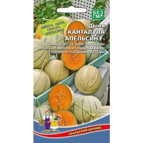 Дыня канталупа апельсин F1, 1 пакет, семена 6шт, Уральский Дачник дыня канталупа желтая f1 8шт ср нк 10 пачек семян
