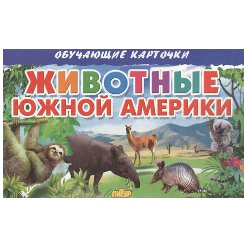 Обучающий набор Литур Животные Южной Америки, 20х13 см книга литур домашние животные 20х13 см