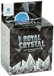 Набор для исследований Intellectico Royal Crystal, серебристый