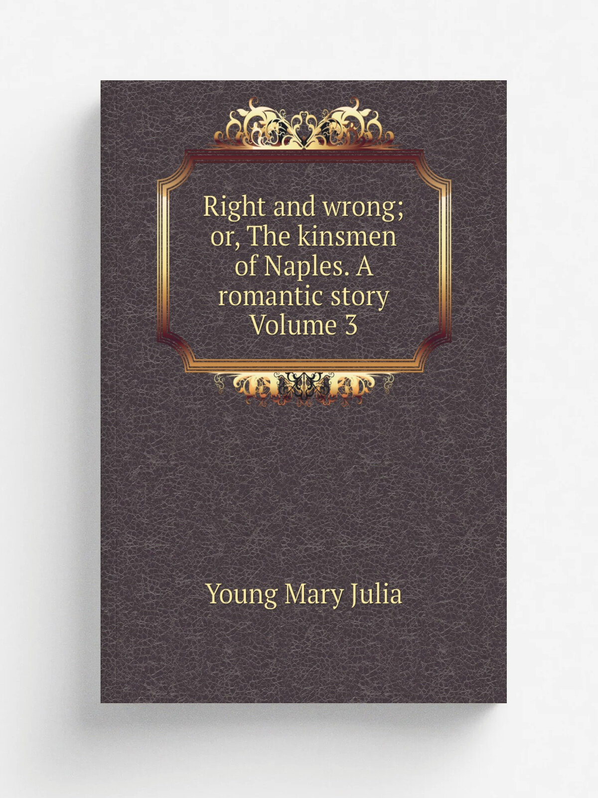 Right and wrong; or, The kinsmen of Naples. A romantic story Volume 3