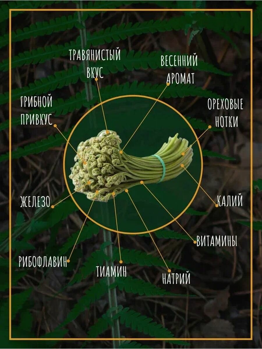 Папоротник орляк соленый резаный 900гр - фотография № 4