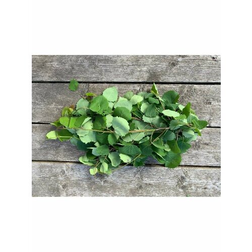 Веничек из осины