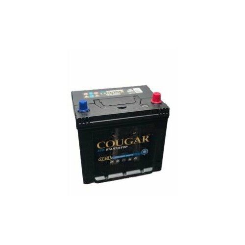 Аккумулятор автомобильный COUGAR EFB Q85L 65Ач R+ EN550A 232х175х225 B01