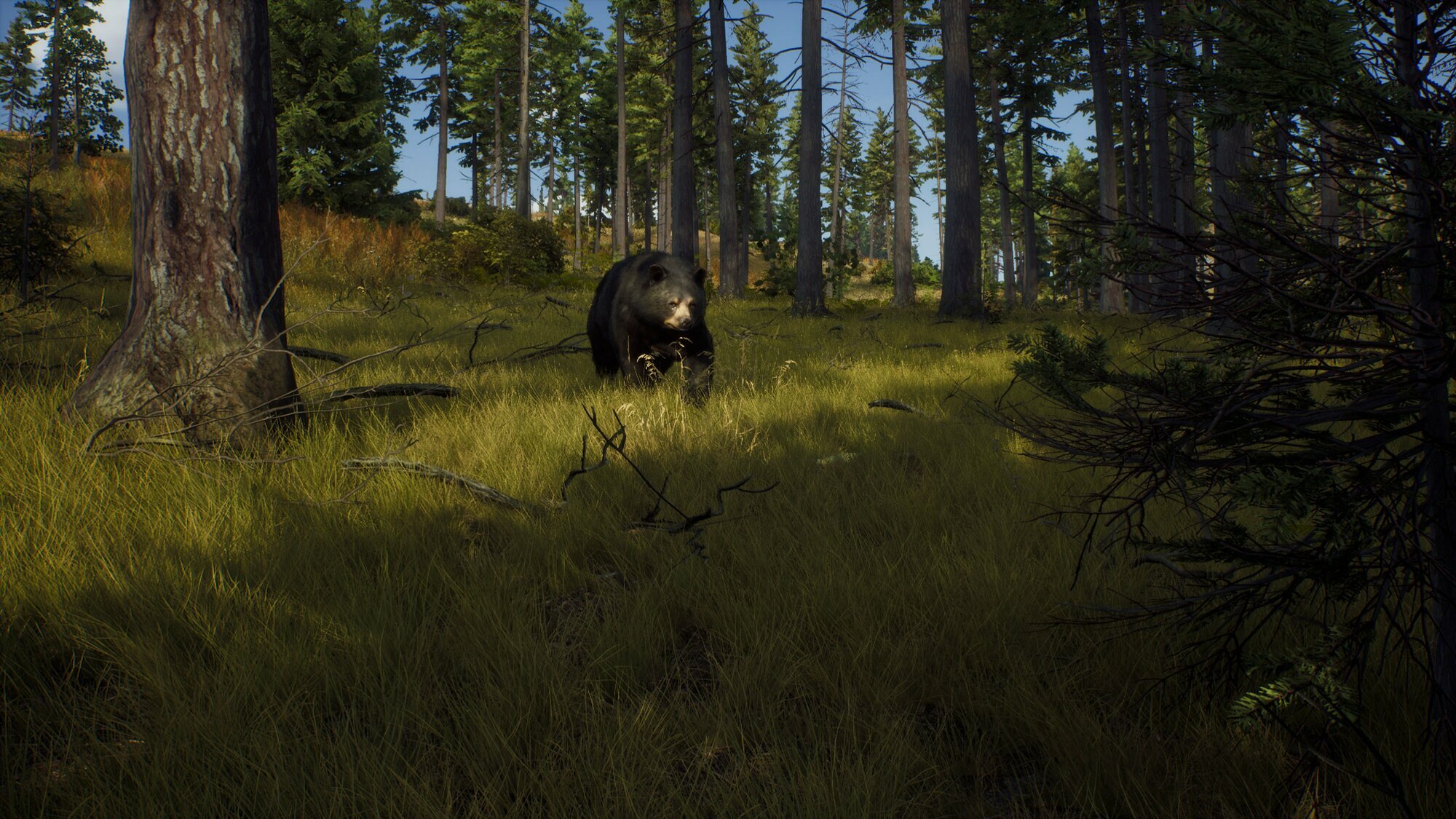 Way of the Hunter Elite Edition | Steam | РФ + СНГ — фото 1