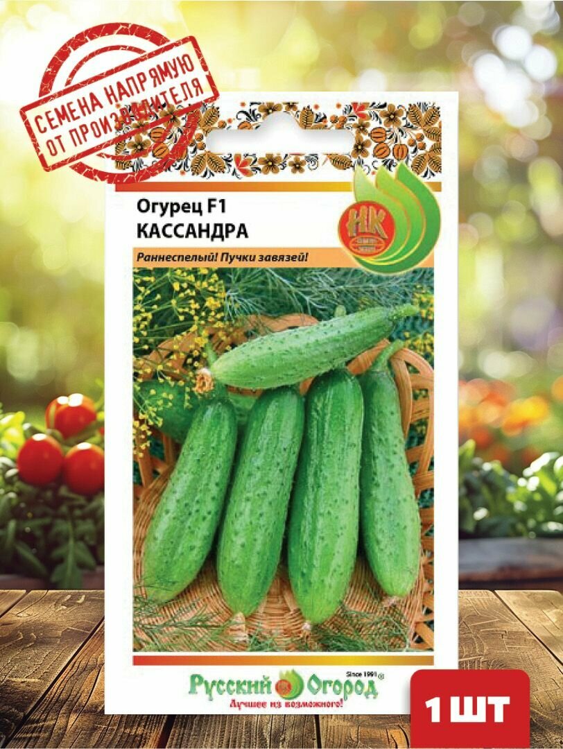 Семена растения огурец f1 кассандра